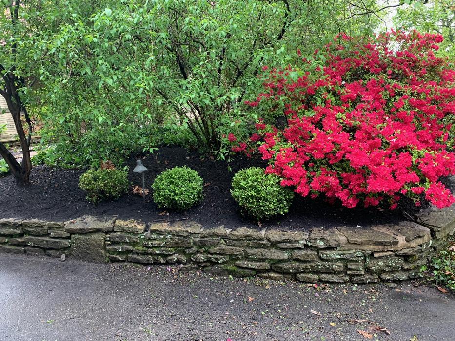 Tri-State Landscaping Service - Dry Ridge, KY