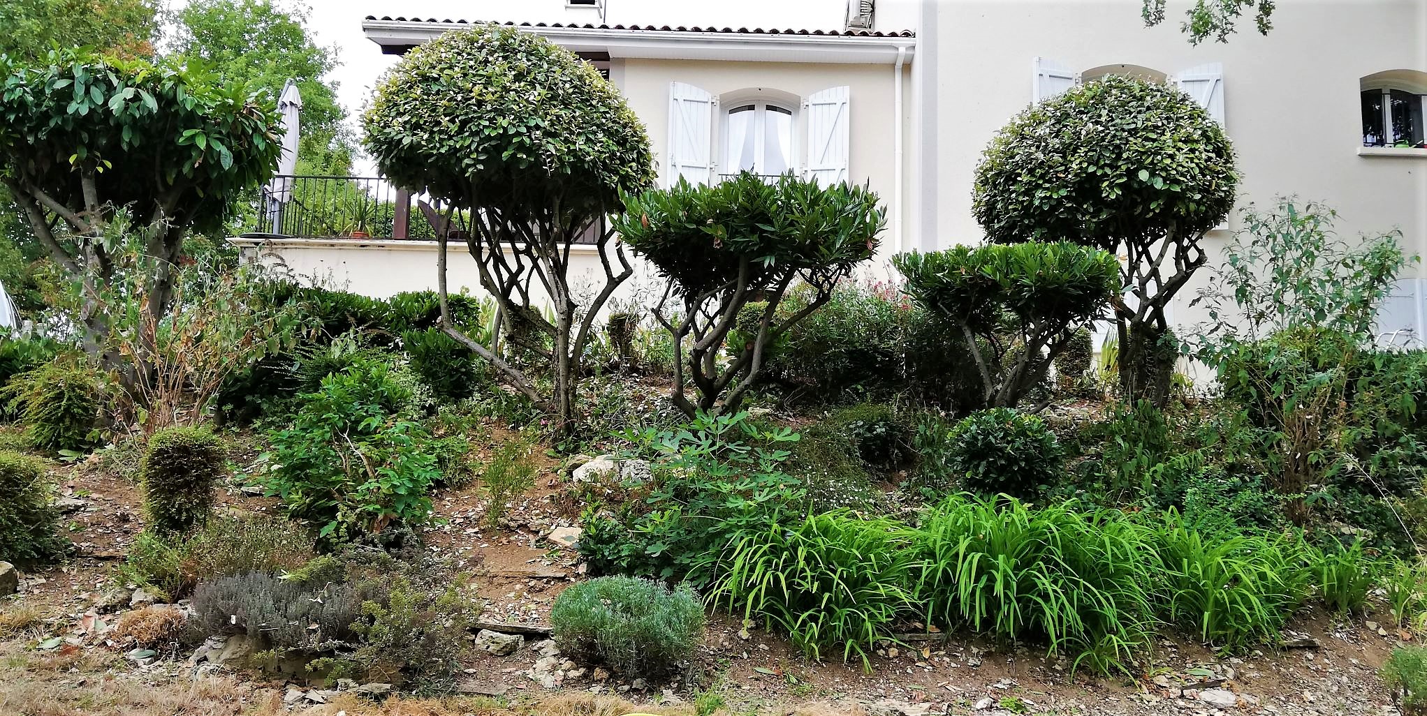 Miniature de la galerie