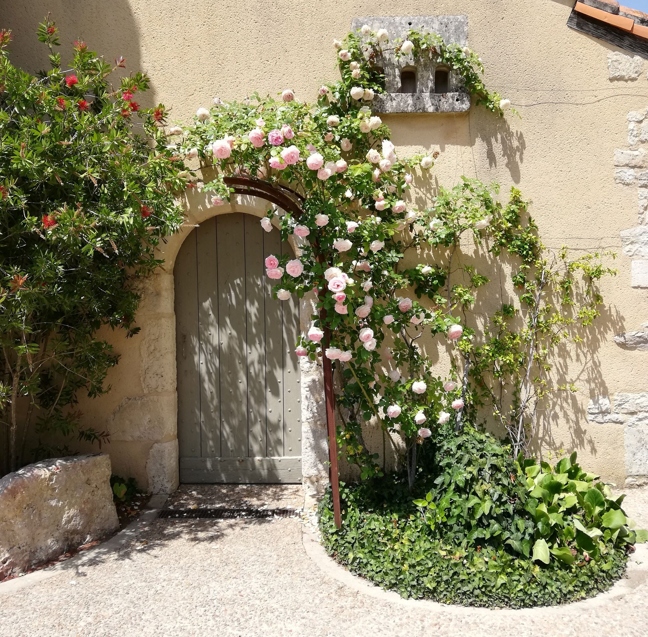 Miniature de la galerie