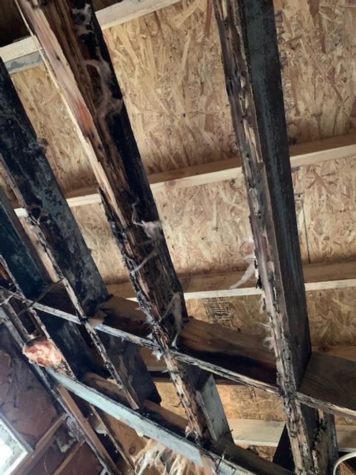 Casas Properties Image