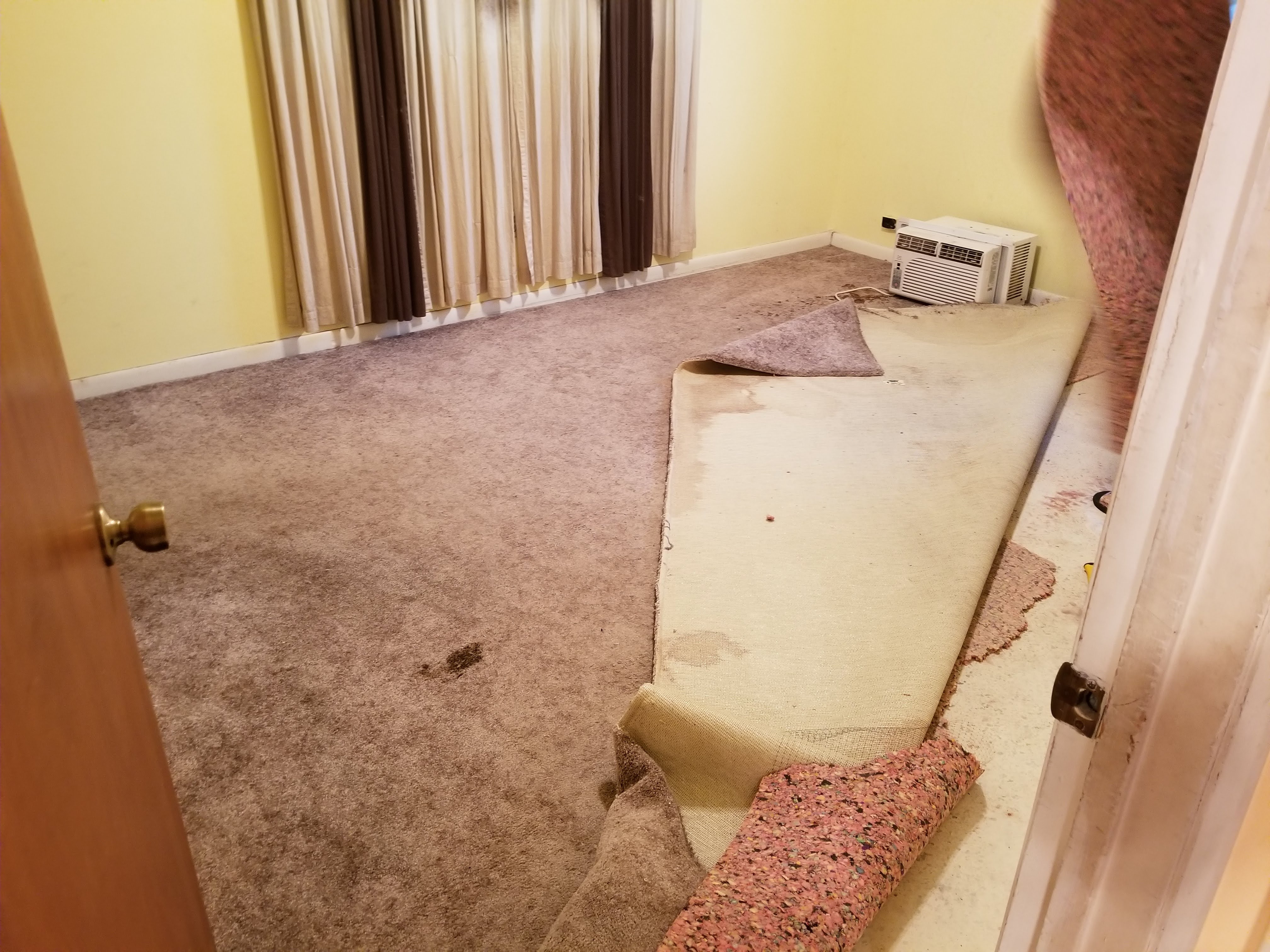 Construction Services & Repair | Flooring, Paint, House Remodeling and more Image