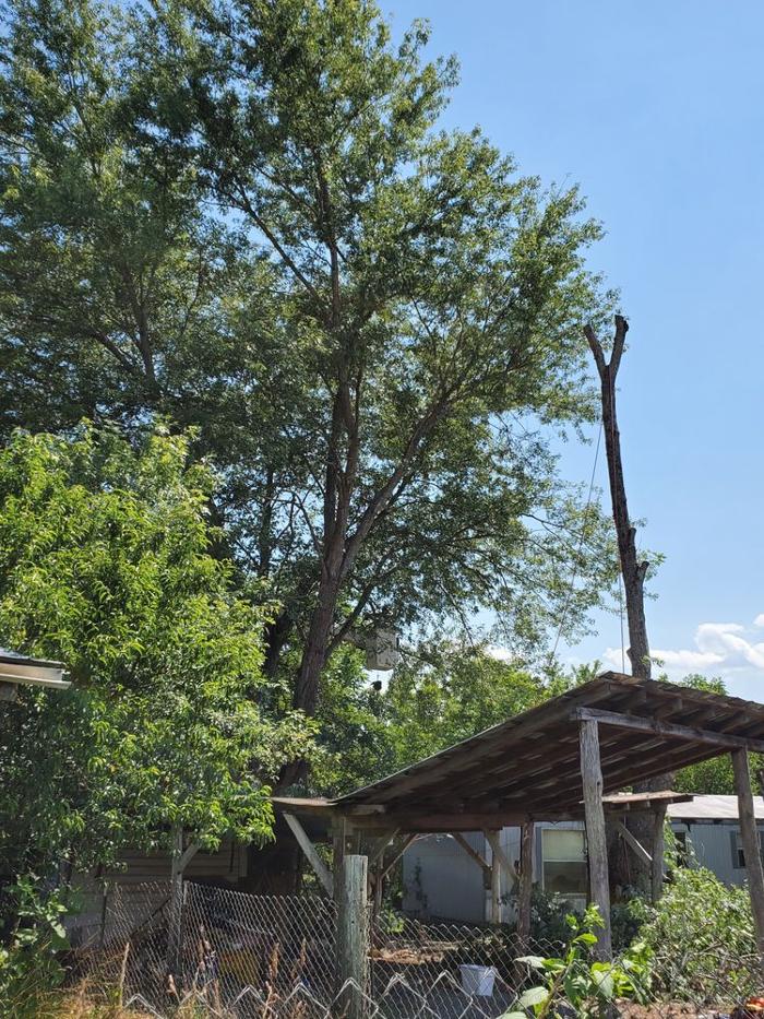 Timberline Tree Service & Landscaping - Morganton, NC