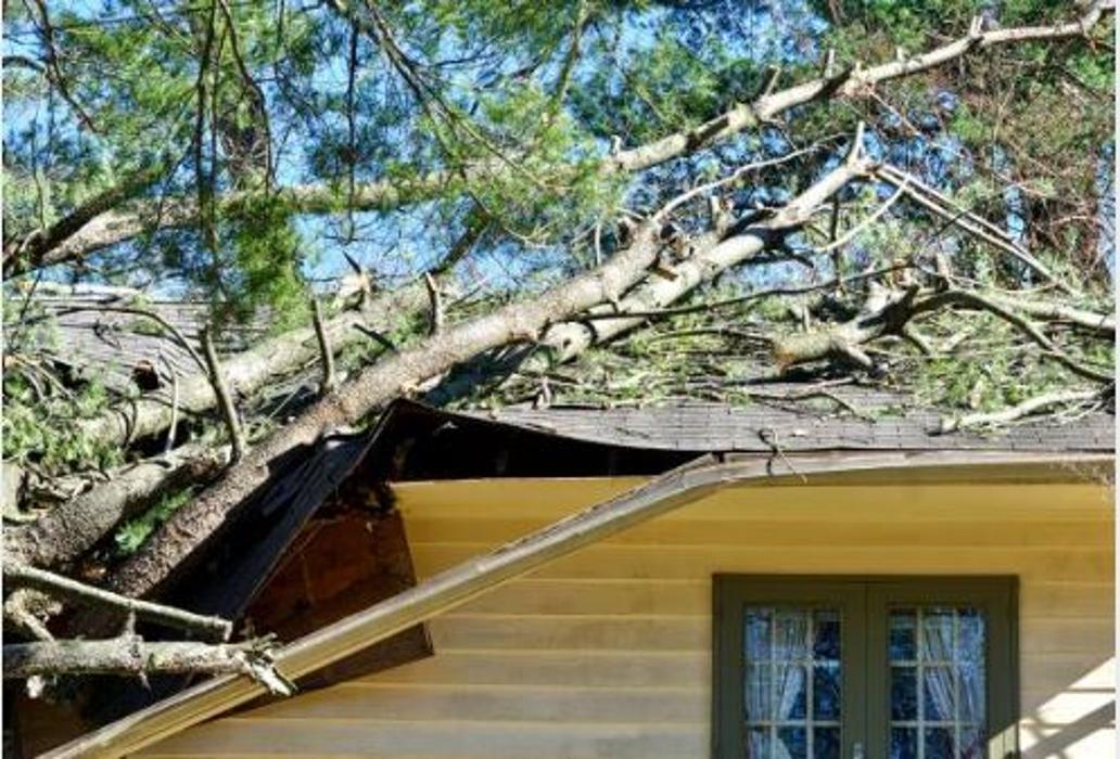 Timberline Tree Service & Landscaping - Morganton, NC