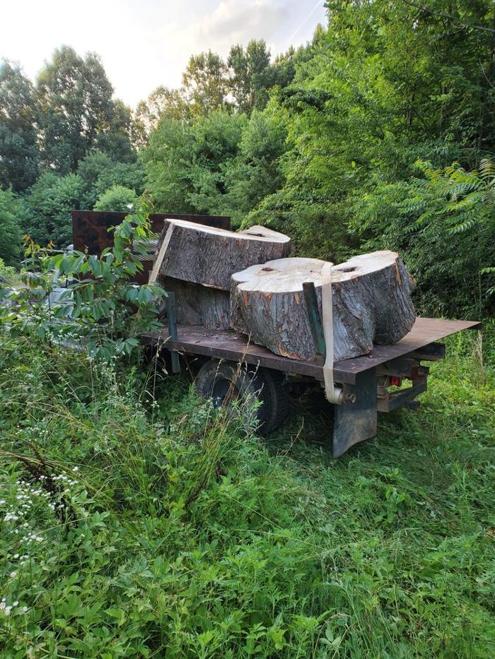 Timberline Tree Service & Landscaping - Morganton, NC