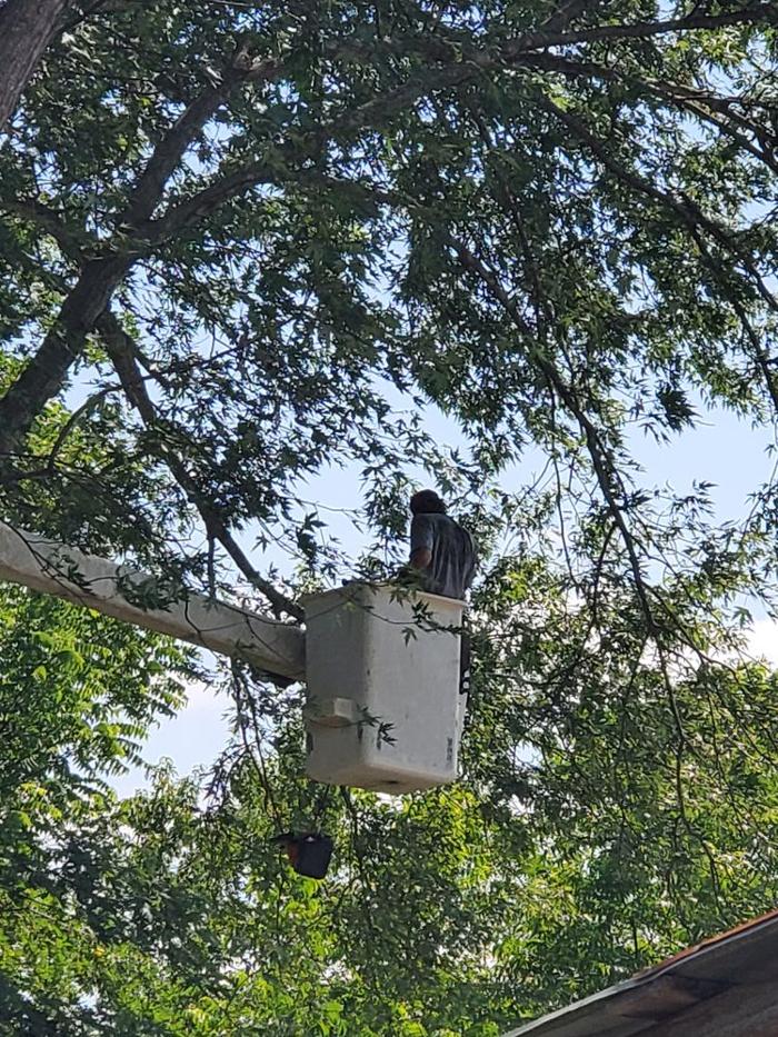 Timberline Tree Service & Landscaping - Morganton, NC