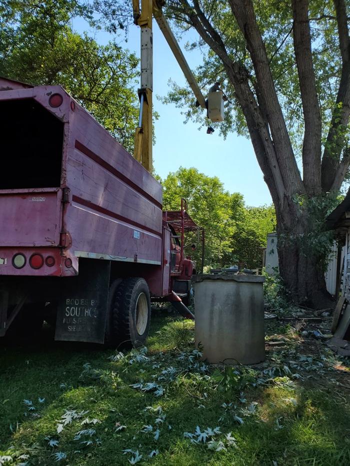 Timberline Tree Service & Landscaping - Morganton, NC