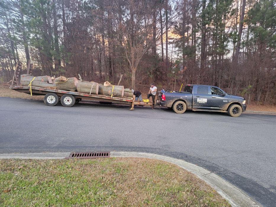 Timberline Tree Service & Landscaping - Morganton, NC