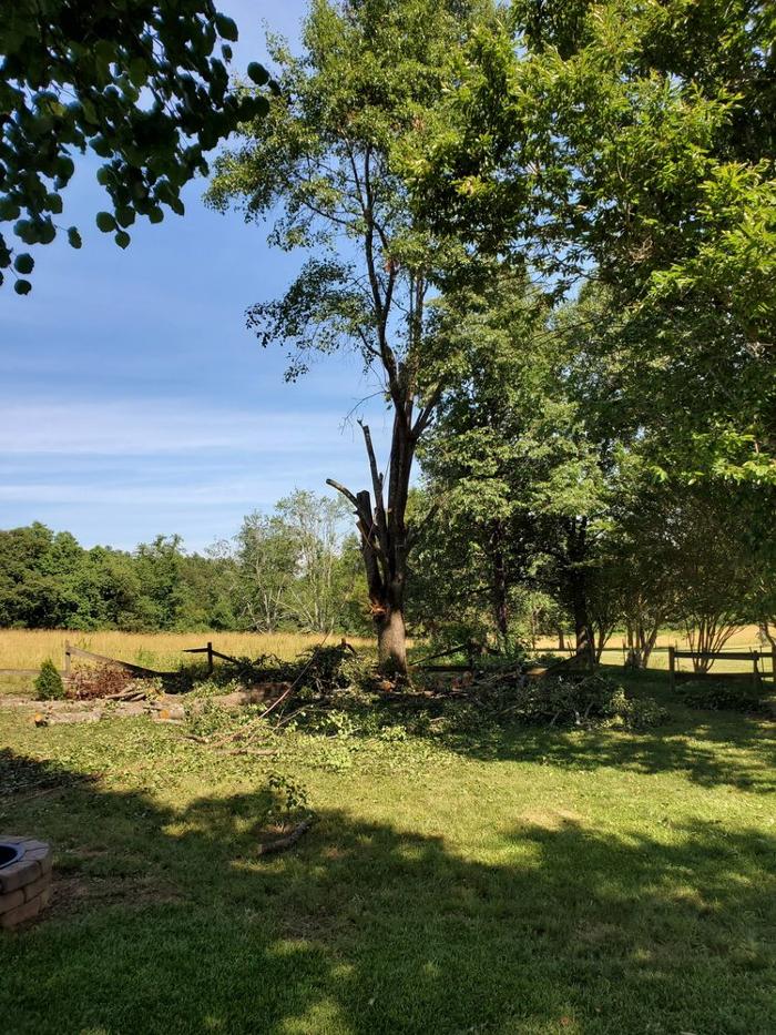 Timberline Tree Service & Landscaping - Morganton, NC