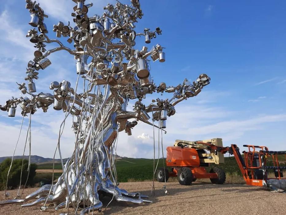 T&M AUTO REVAMP - Angwin, CA