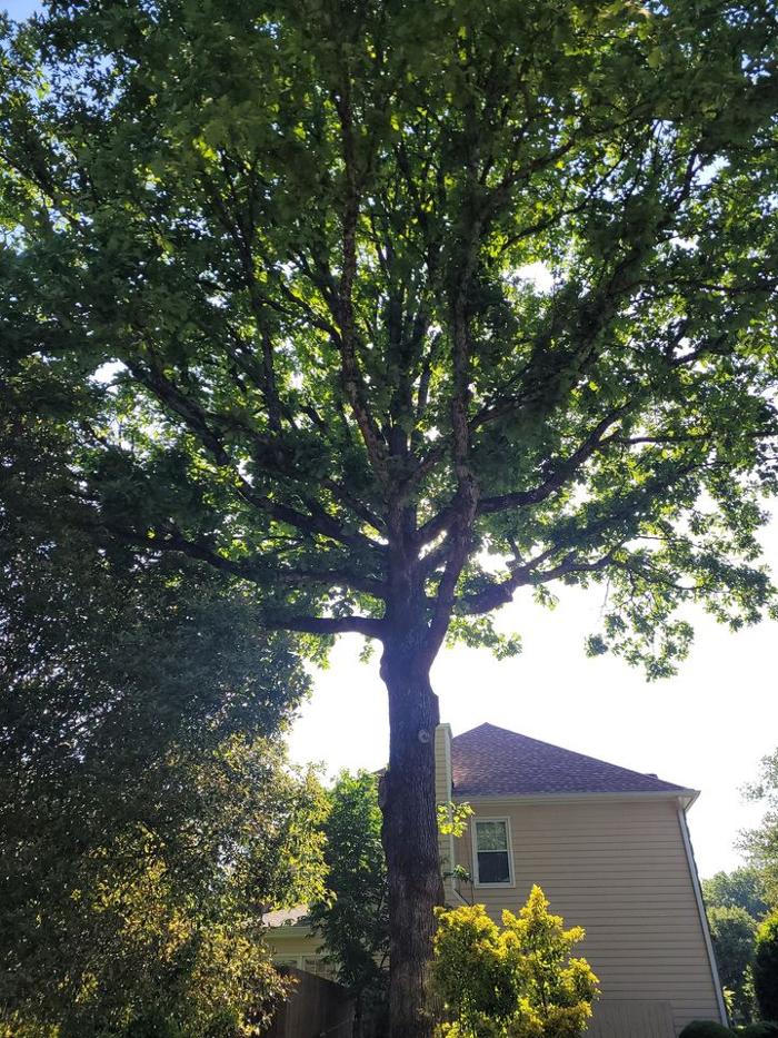 Fallen Land Worx - Alpharetta, GA