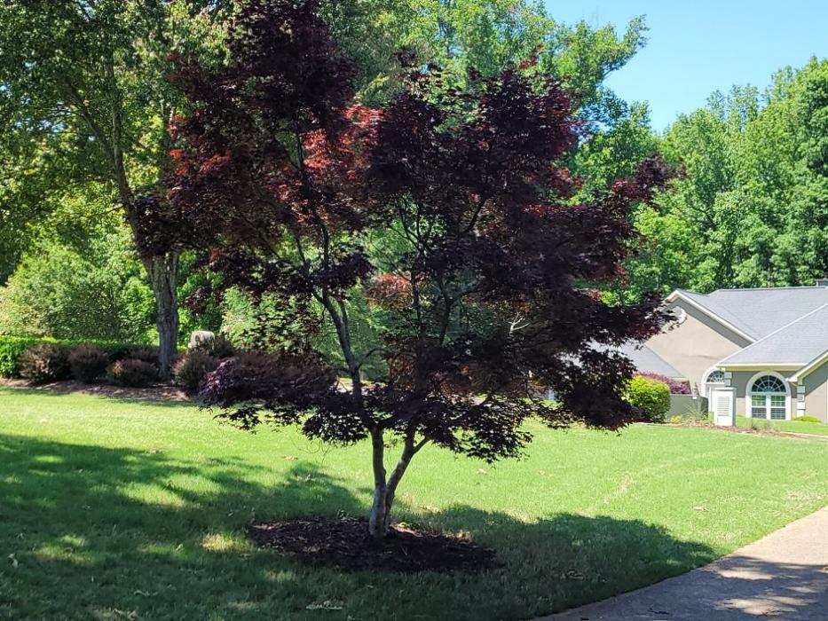 Fallen Land Worx - Alpharetta, GA