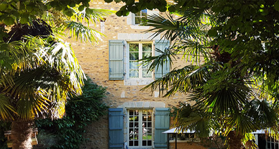Miniature de la galerie
