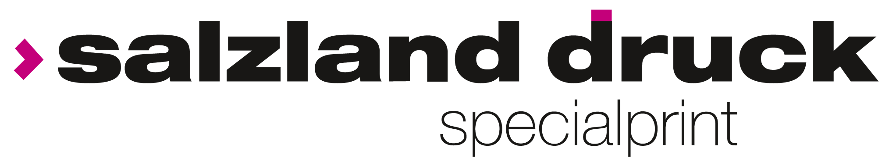 Salzland Druck GmbH & Co. KG in Staßfurt