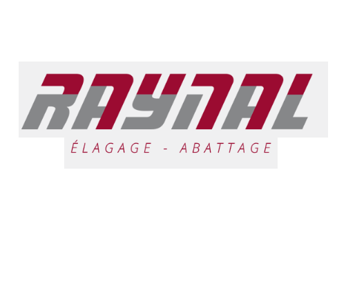 Raynal Pierre Jean SARL Expert