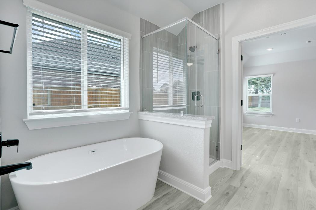 Terrata Homes - The Colony Image