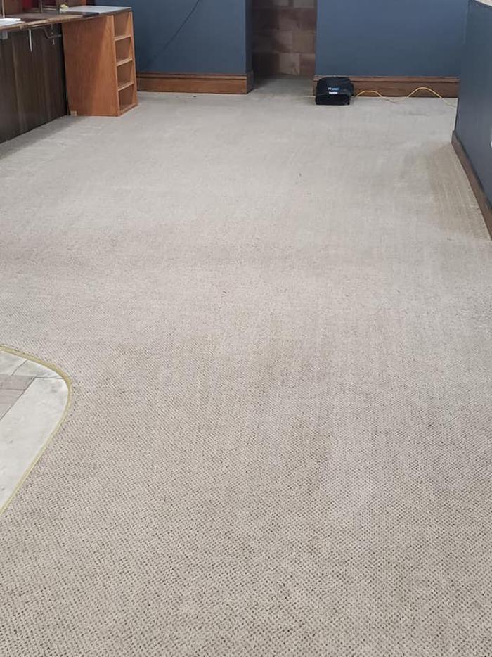 DL's Sharper Image Carpet Cleaning & Restoration - Detroit Lakes, MN