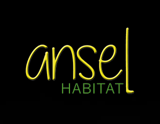 Ansel Habitat ébénisterie, ébéniste