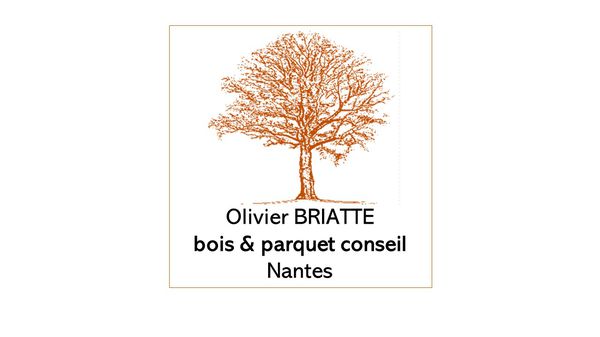 Expert Olivier BRIATTE Autres services