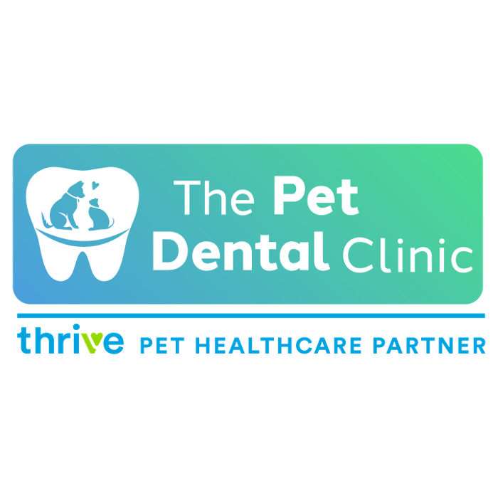 The Pet Dental Clinic