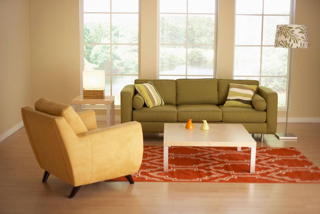 Cleaning with Perfection, LLC - Springfield, MO