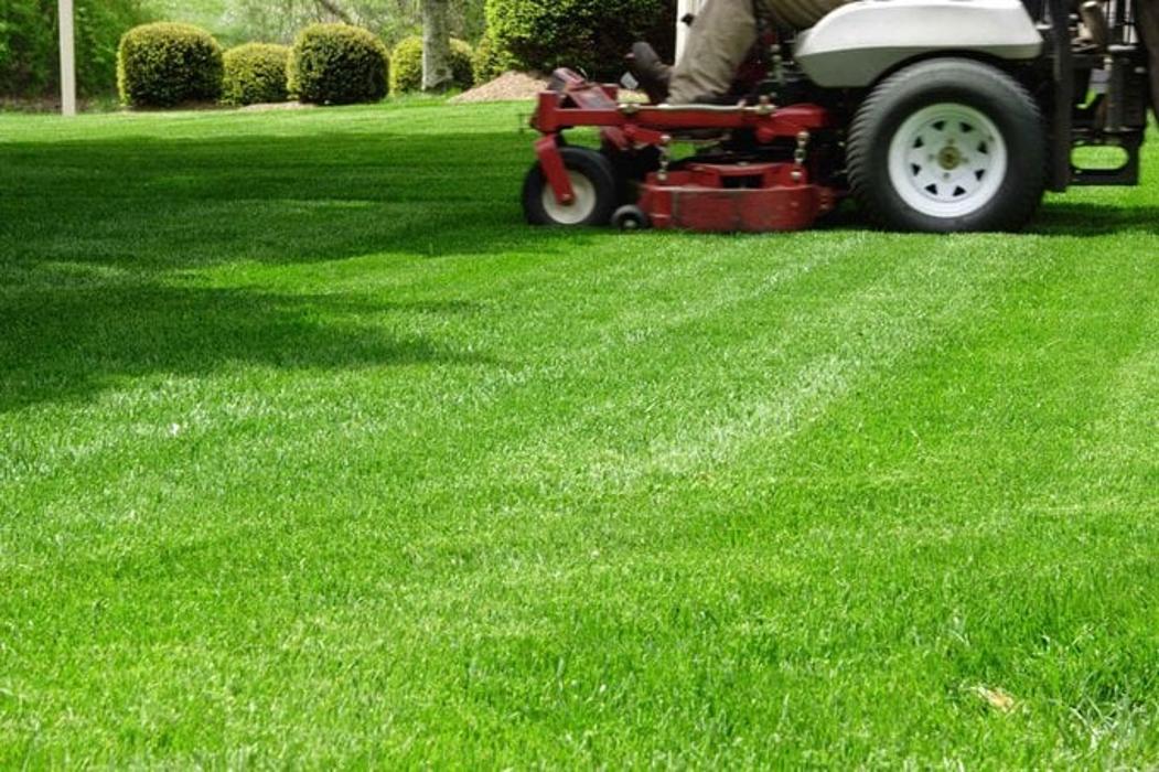Cutting Edge Tree and Lawn - Metairie, LA