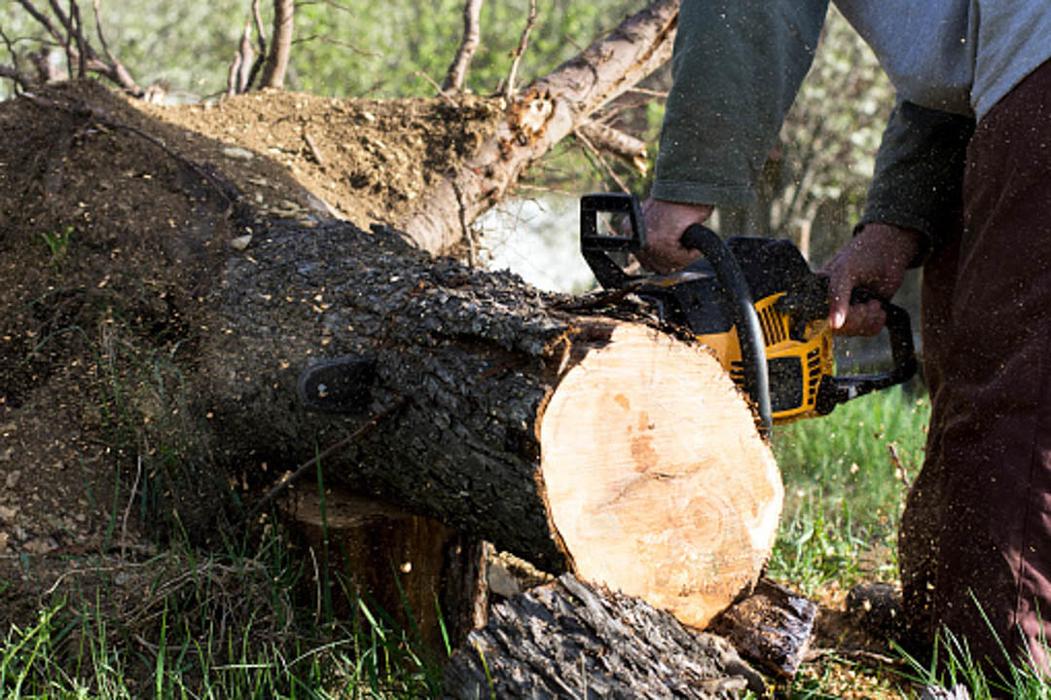 Cutting Edge Tree and Lawn - Metairie, LA