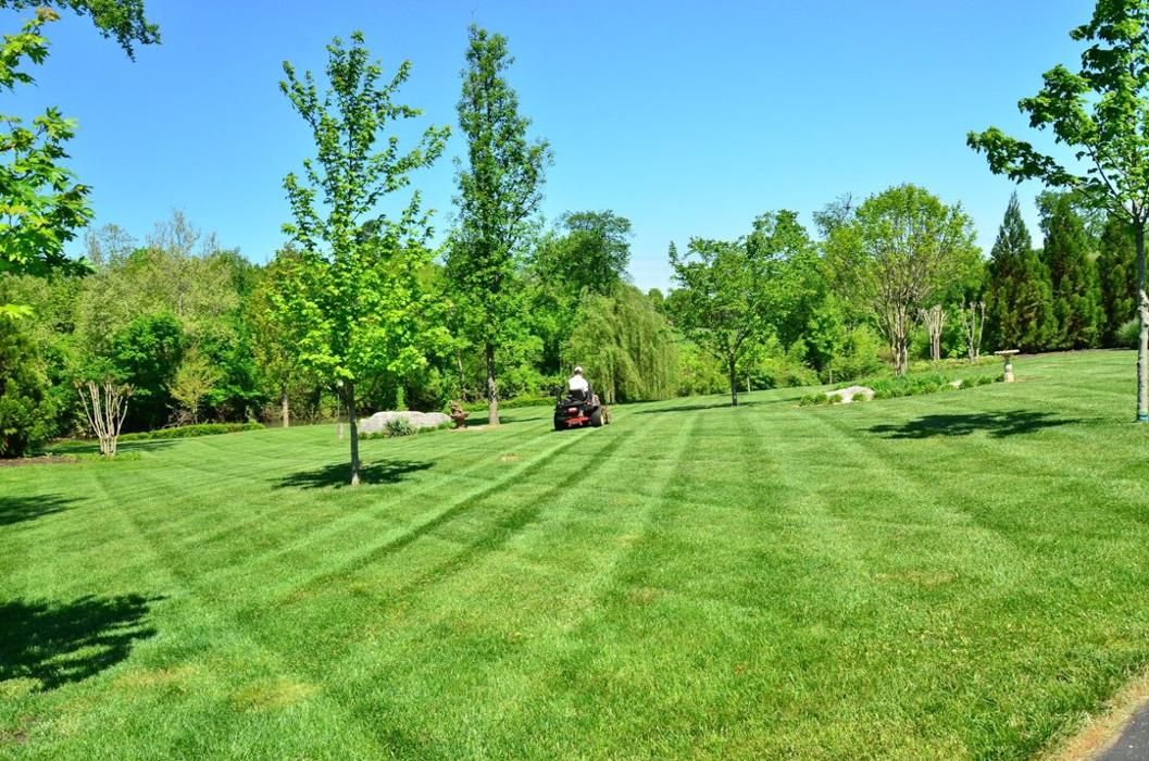 Cutting Edge Tree and Lawn - Metairie, LA