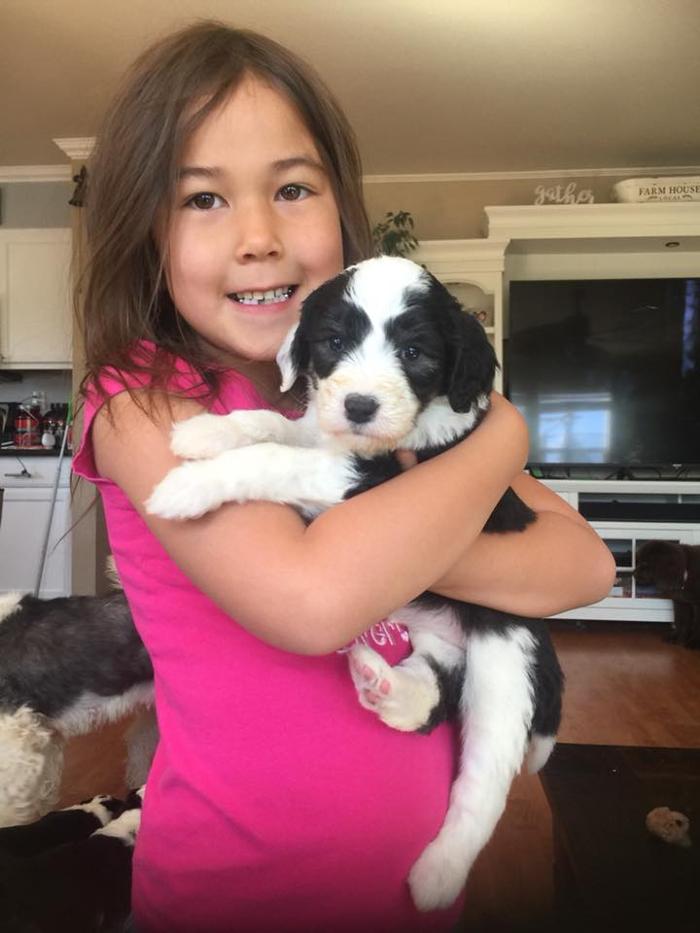 Kersey Doodles Image