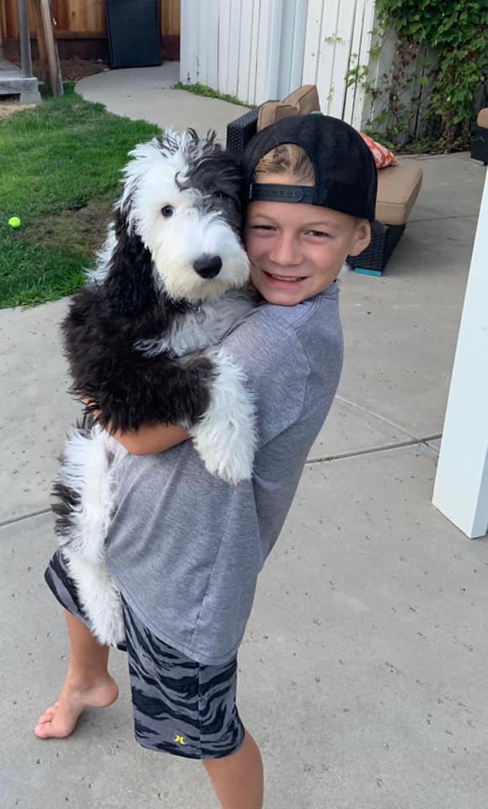 Kersey Doodles Image