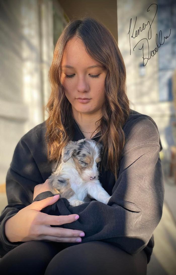 Kersey Doodles Image