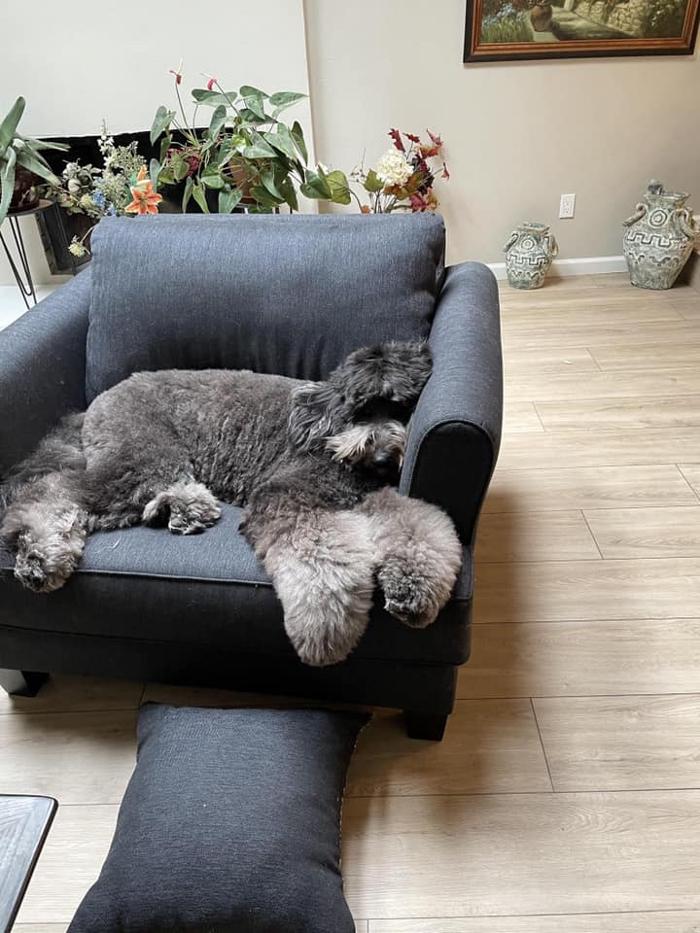 Kersey Doodles Image