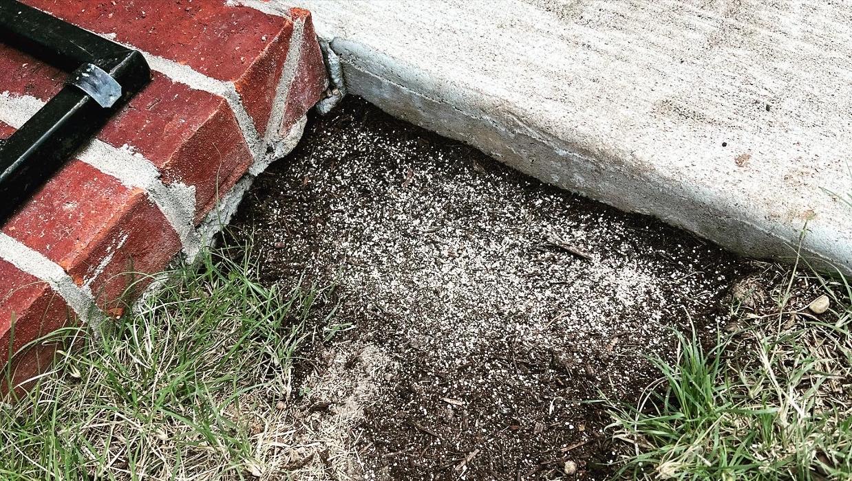 Those Pest Solutions LLC - Hesston, KS