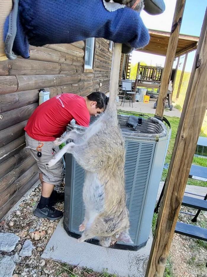 Those Pest Solutions LLC - Hesston, KS