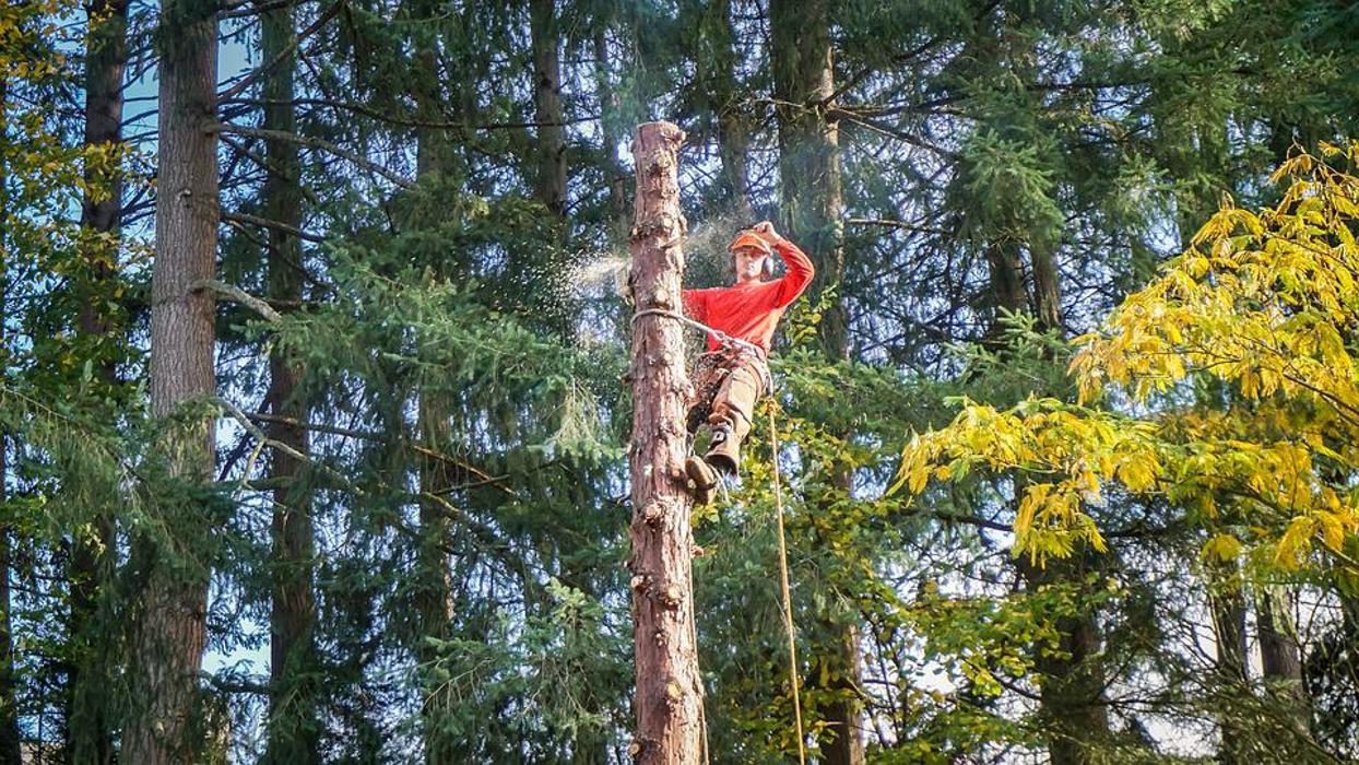 CLOSED - B&L Tree and Lawn Services - Kansas City, KS