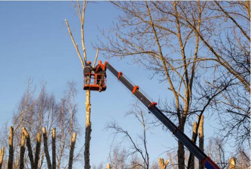 CLOSED - B&L Tree and Lawn Services - Kansas City, KS