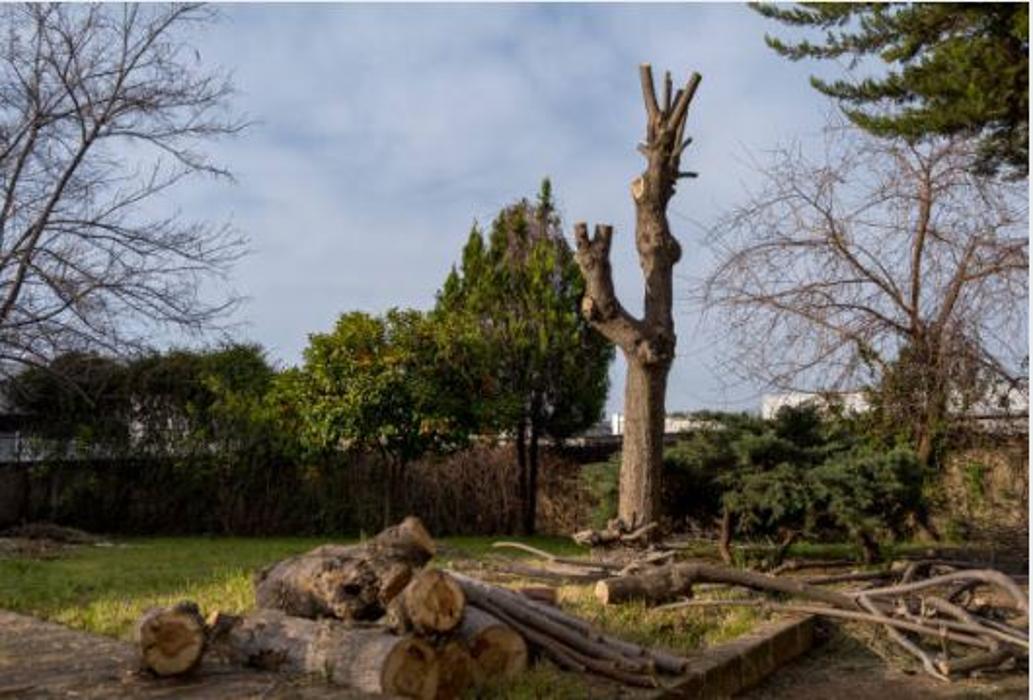 CLOSED - B&L Tree and Lawn Services - Kansas City, KS
