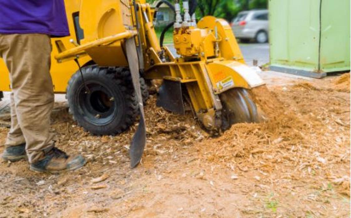 CLOSED - B&L Tree and Lawn Services - Kansas City, KS