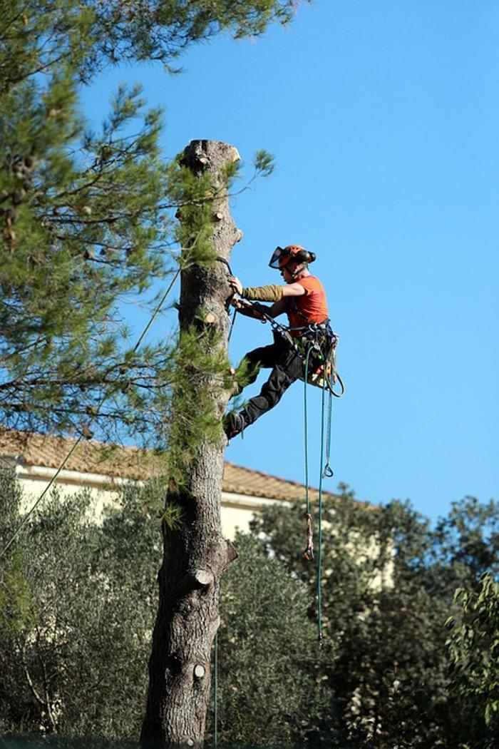 CLOSED - B&L Tree and Lawn Services - Kansas City, KS