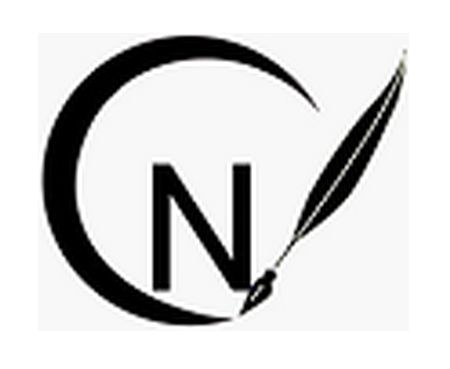 Navarro Christine EI conseil départemental