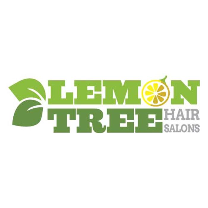 Lemon Tree Hair Salon Commack Image