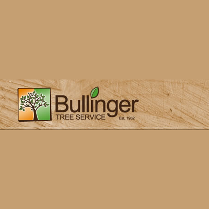 Bullinger Tree Service - Mandan, ND
