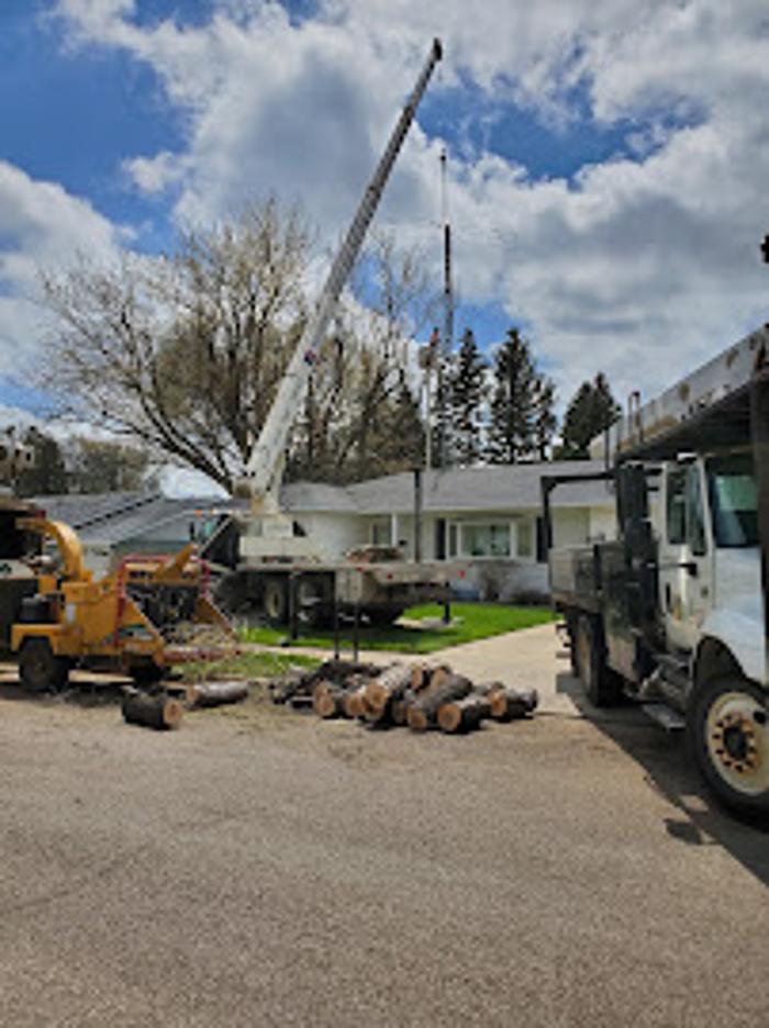 Bullinger Tree Service - Mandan, ND
