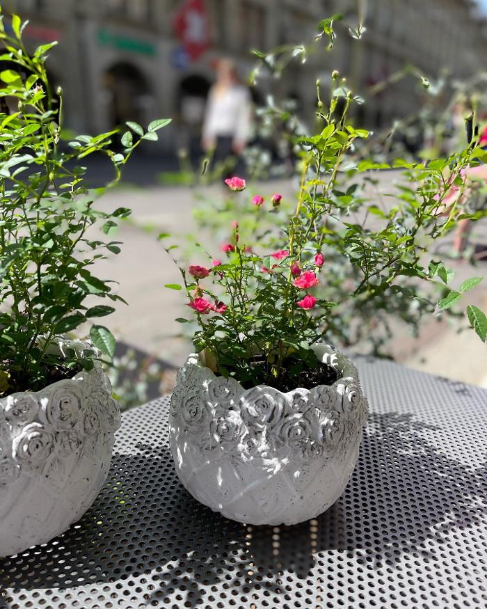 petite fleur gmbh, Spitalgasse in Bern