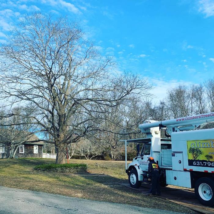 Climbers Tree Care Specialist, Inc., 188 Springs Fireplace Rd, East