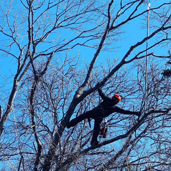 Climbers Tree Care Specialist, Inc., 188 Springs Fireplace Rd, East