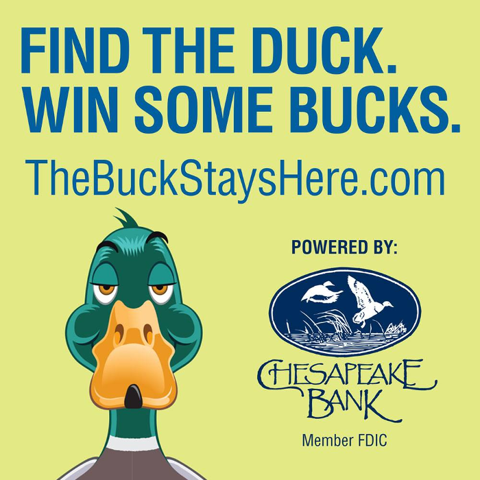 Chesapeake Bank - Williamsburg Landing Logo