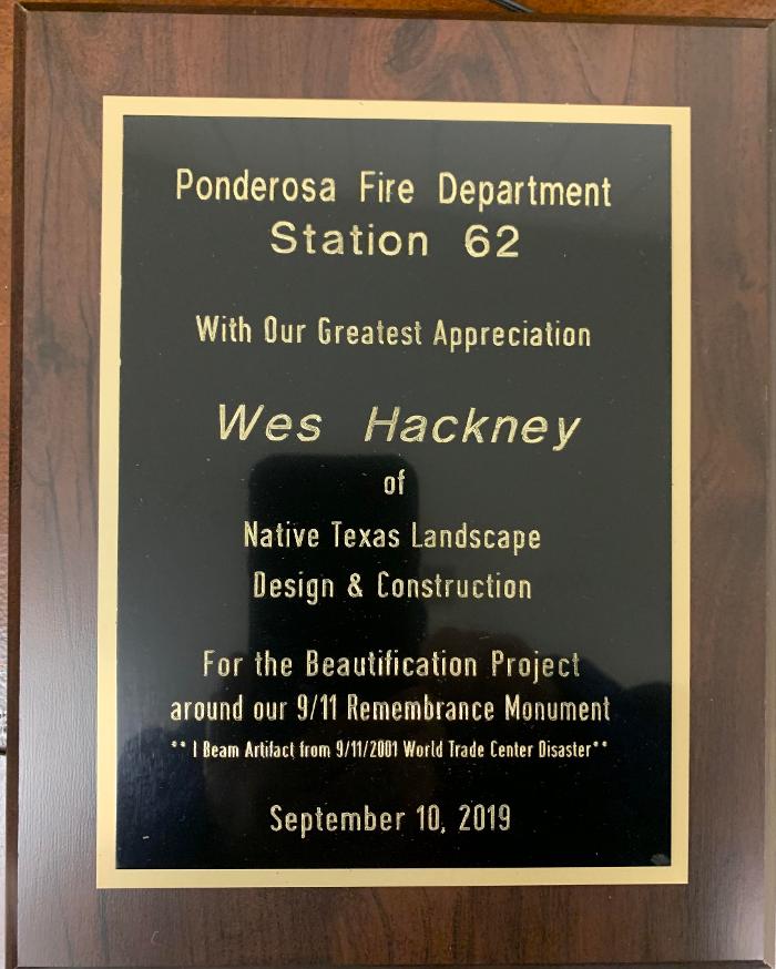 Native Texas Landscape - Spring, TX