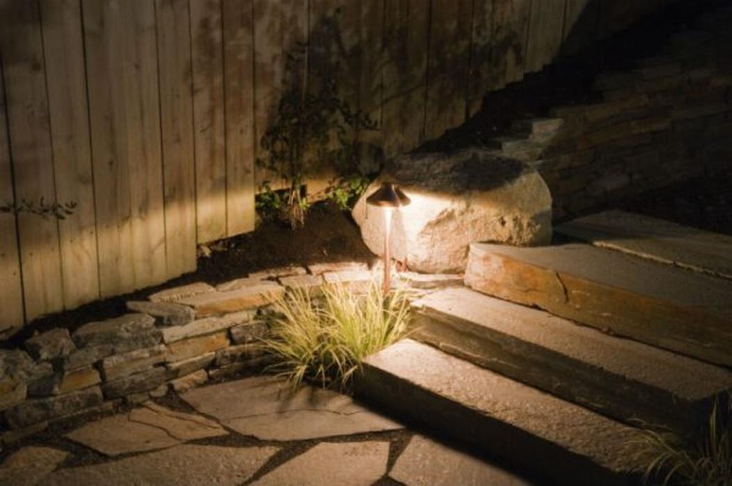 Native Texas Landscape - Spring, TX