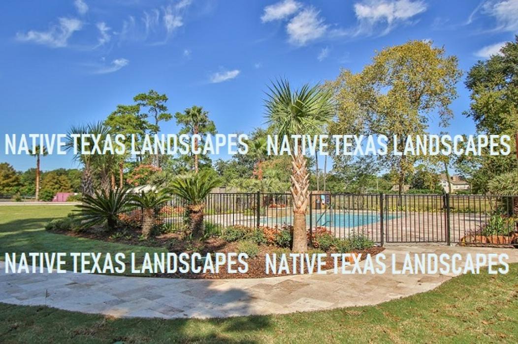 Native Texas Landscape - Spring, TX