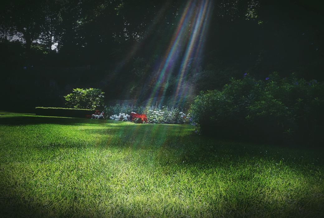 B and M Landscaping And Property Preservation LLC - Newark, OH